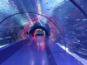 Antalya Aquarium Ticket