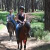 side: wald und strand reitsafari mit hoteltransfer