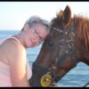 side: wald und strand reitsafari mit hoteltransfer
