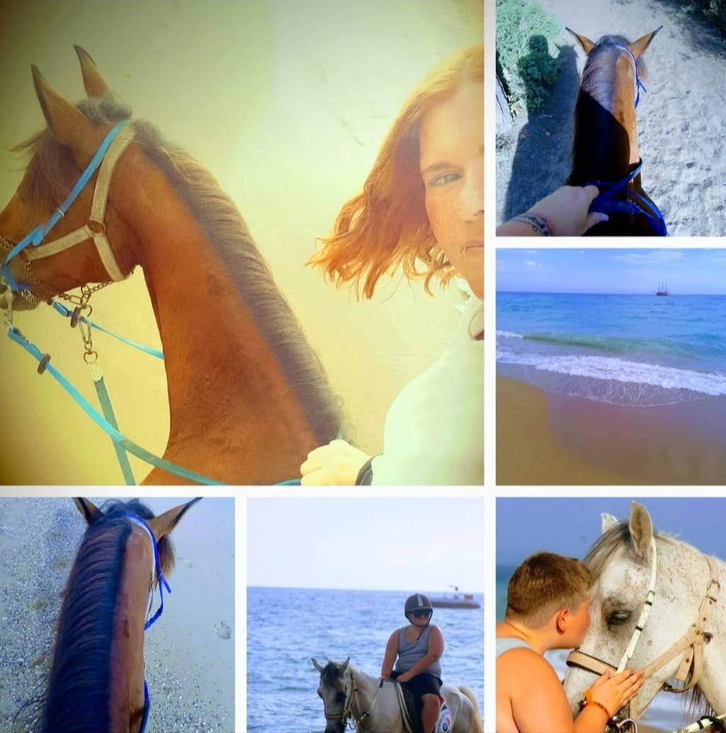 side: wald und strand reitsafari mit hoteltransfer