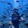 tauchen in side – 2 tauchgänge an der türkischen riviera mit mittagessen & transfer