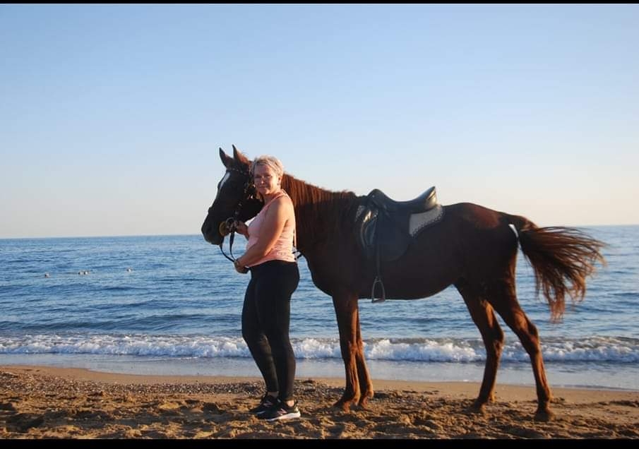 side: wald und strand reitsafari mit hoteltransfer