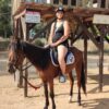 side: wald und strand reitsafari mit hoteltransfer