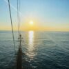 big kral legend sonnenuntergang bootstour – partyboot mit dj, schaumparty & abendessen