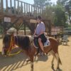 side: wald und strand reitsafari mit hoteltransfer