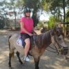 side: wald und strand reitsafari mit hoteltransfer