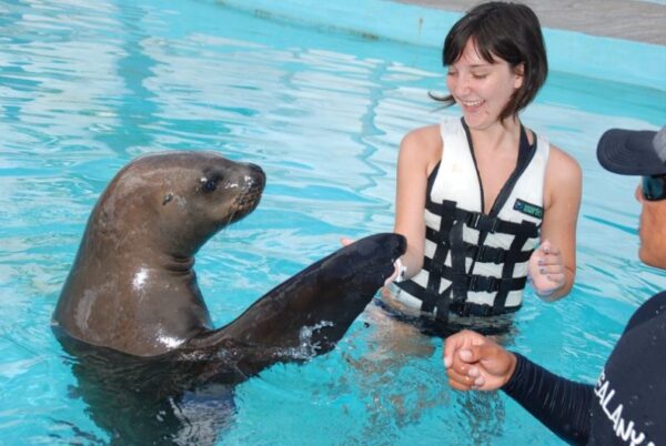 delfin show & schwimmen mit delfinen in side – ein erlebnis für die ganze familie