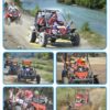 Familie Buggy Safari